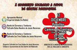 X Concierto Solidario a favor de Cáritas Parroquial