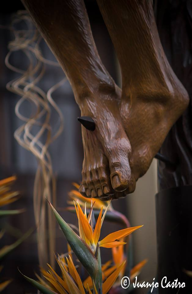 jhs - Stmo. Cristo de la Agonía 14