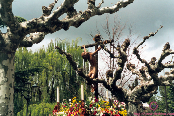 jhs - Stmo. Cristo de la Agonía 6